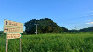 教育驚奇-香港邊境生態史地歷奇-文旅融合實踐-下