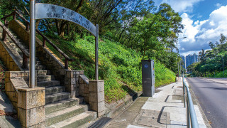 基孔肯雅熱-再多一宗本地感染個案-患者曾與11人到青衣自然徑遠足