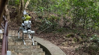 基孔肯雅熱-衞生防護中心舉行跨部門會議-敲定加強防控蚊患措施