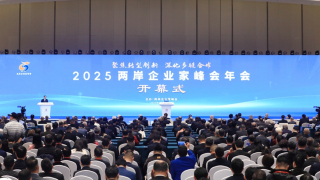 兩岸企業家峰會年會南京開幕-助台商台企融入新發展格局