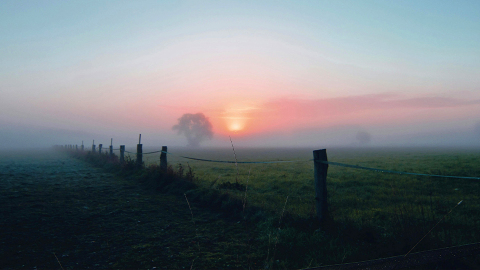 靈氣碧仁-命運總會從黑暗中留下曙光