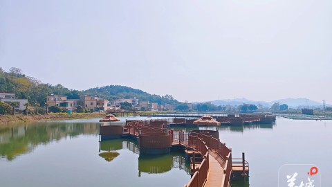 大美嶺南-清遠佛岡下岳村-碧塘蝦躍-古院咖香