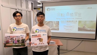 觀鳥會推算香港市區有逾22萬隻麻雀按年升2-3--元朗區最多聚居