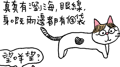 文地貓幸福哲學-介紹返