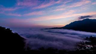 伯爵茶跡-小惠未遍的警惕-商銘