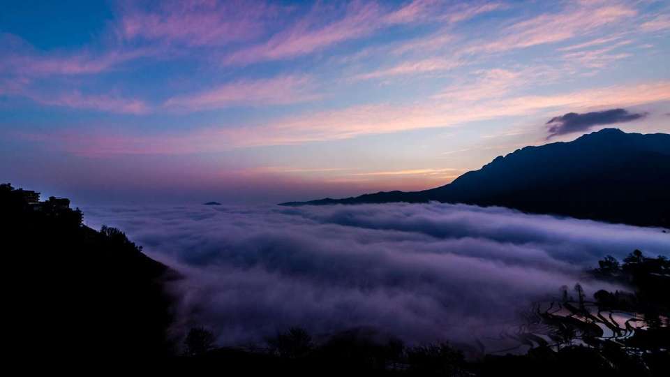 伯爵茶跡-小惠未遍的警惕-商銘