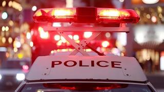 駐沖繩美兵疑酒後剝光豬遊街被捕-網民嘲-有酒飲就唔識打仗