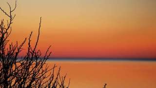 伯爵茶跡-親賢遠佞的宗旨-武王盥盤銘