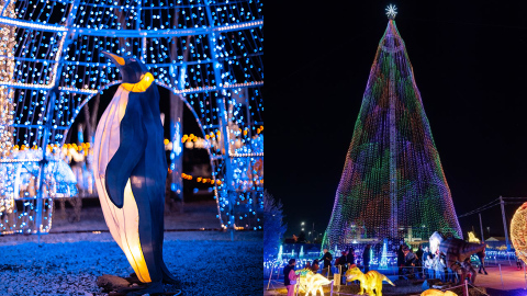 聖誕好去處-全球最高47米LED聖誕樹登陸灣仔-沉浸式光影樂園Festilumi設9大打卡區