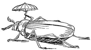 教育驚奇-荒誕動物學-李爾與周作人-二