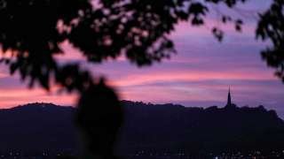 陸小淑專欄-故園人情如故