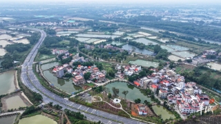 大美嶺南-肇慶四會市隆馬村-漁村-遊-出新賽道