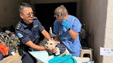 宏福苑五級火-警方DNA鑑證再發現兩貓狗遺骸-愛協聯絡主人領回