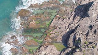 大鵬灣獲選全國-美麗海灣優秀案例--港首度獲表揚