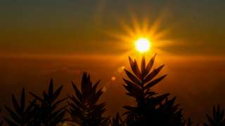 文化漫談-元旦是1月1日還是正月初一