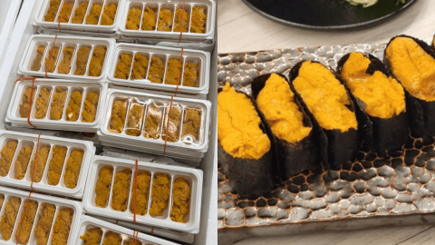 千之味推無限追加海膽壽司--8件不設上限任食-網民讚味道鮮甜