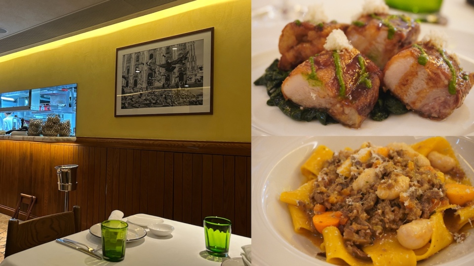 南瓜-Testina最後的時光