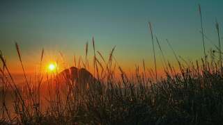 伯爵茶跡-憂患意識的萌芽-黃帝戒