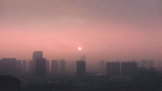 大館當代美術館新展-張培力由-一天-出發探討時間-疾病與身體