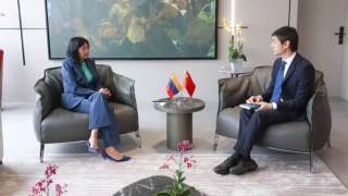 委內瑞拉臨時總統會見中國大使-感謝中方譴責美國侵略行徑