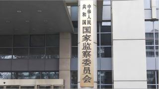 2025年全國紀檢監察機關嚴管隊伍-處分幹部3763人含4名省部級