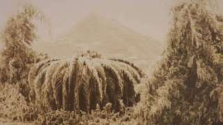 有圖有真相-香港落過雪嗎