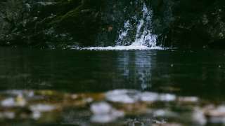 伯爵茶跡-大盈若虛的中道-老子-第九章