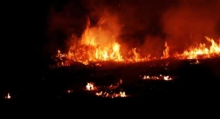 印度兩倉庫大火致19死20多人失蹤-事發時門被反鎖多人被困無法逃生