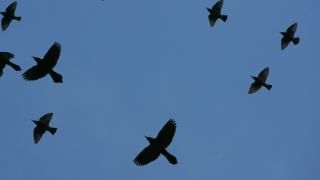 文化漫談-富庶還是蠻荒-權力者對-南方-的建構