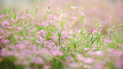 靈氣碧仁-認識立春-各生肖迎接丙午馬年的重要時節