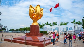 周霽-過去一年香港經濟發展持續向好-東方之珠煥發出更加璀璨奪目光彩