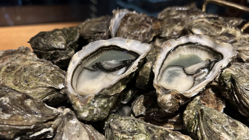 外出用膳食物中毒個案急升再有四人中招-防護中心籲避免食生蠔