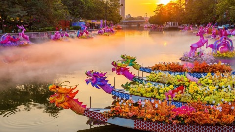 當代中國--年宵花王-蝴蝶蘭-全國1-3產自佛山