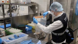 食環署巡查430間售生蠔處所-檢視保存溫度及供應來源等