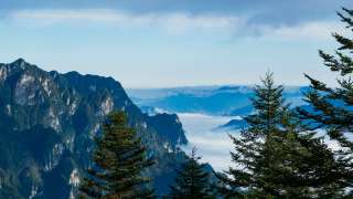 伯爵茶跡-顧此失彼的弔詭-絲麻詩