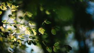 陸小淑專欄-回首皆是尋常溫柔