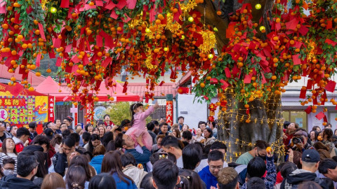 農曆新年｜大埔林村許願節初一開鑼　附近交通實施特別安排