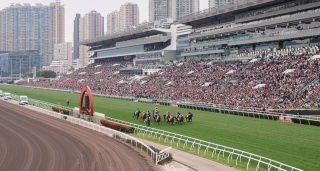 馬年賽馬日-遊客人數創新高--桃花開--勝出馬年杯