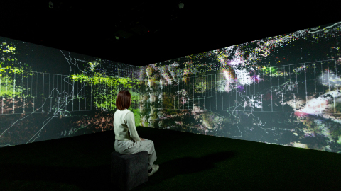 鋼琴為橋四季為景-展覽-森林鋼琴-四季三問-譜寫自然與科技的設計詩篇