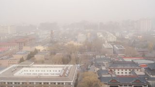 北京現大風沙塵天氣-圓明園新春燈會暫停開放