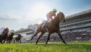 嘉應高升-創18連勝香港紀錄-刷新香港1400米場地紀錄時間