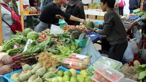 陳博智-三管齊下推升級--期盼預算案為漁農業開闢新里程