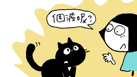 文地貓幸福哲學-消失的波波