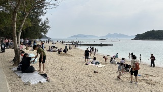 環團揭橋咀洲有遊人挖掘海岸生物-漁護署-研究納入海岸公園加強保護