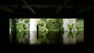 M-3月8日免費開放-一日暢享八大主要展覽及版畫設計體驗