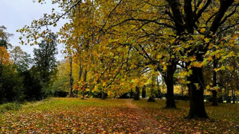 新東誌--遺體處理-的修行