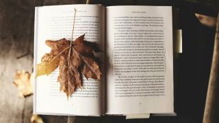 薦書-人生的-九局下半-怎麼打--大器晚成列傳-帶你審視中年危機