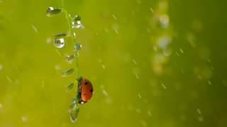 文化漫談-驚蟄是浪漫的想像