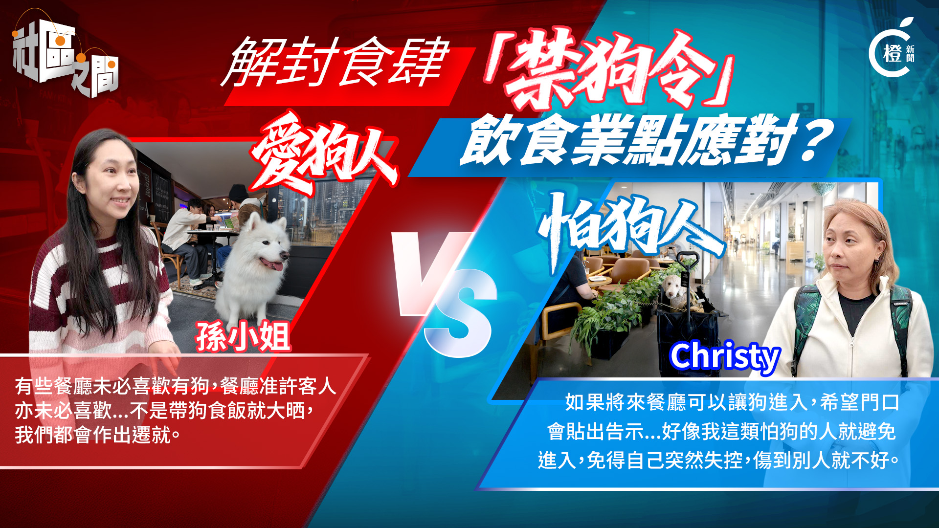 ​專題 | 放寬狗隻入食肆 愛狗人VS怕狗人 餐飲業界如何取捨？