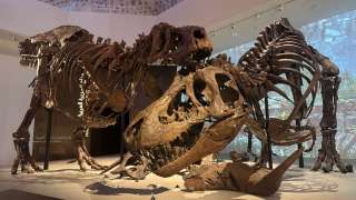 明歷寰宇-在阿布扎比穿越138億年的時空